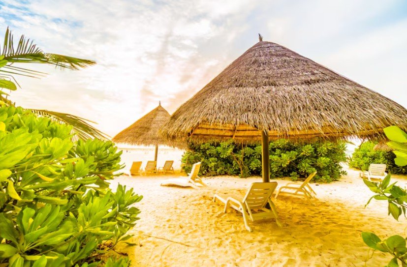 Voyage Safari Agency - destination